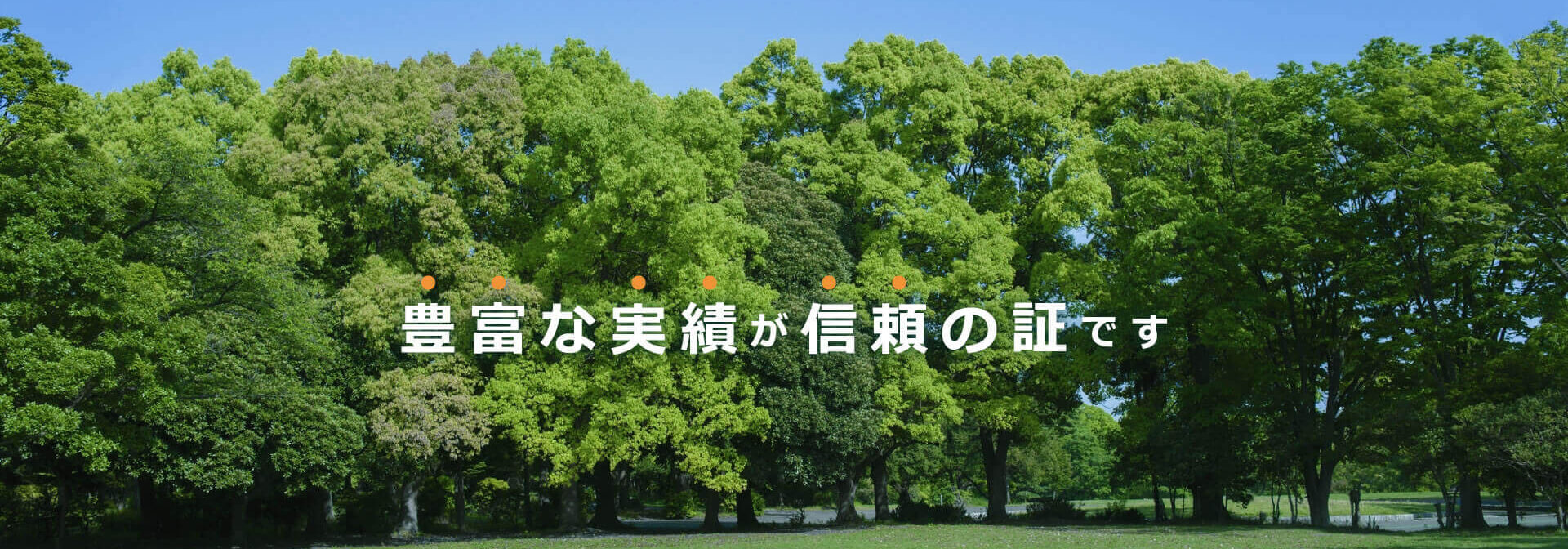 豊富な実績が信頼の証です